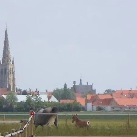 De La Brouckstraete Holiday home Hondschoote